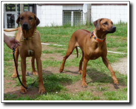 Bardy and his daugther Ebun Nalongo